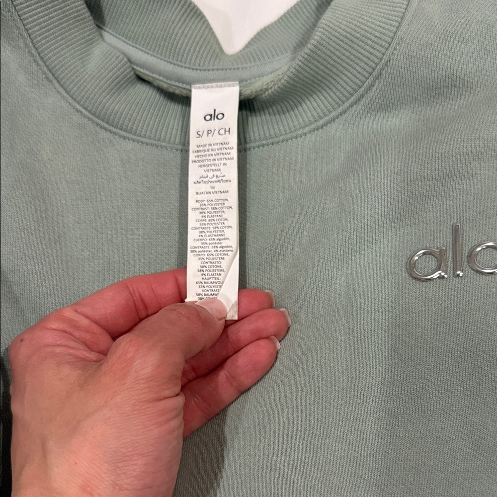 ALO Yoga Sage Green Lounge Sweatshirt & Joggers Set - Picture 5 of 6